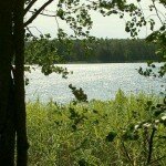 На берегу Большого Святого озера в Нижегородской области На берегу Большого Святого озера в Нижегородской области